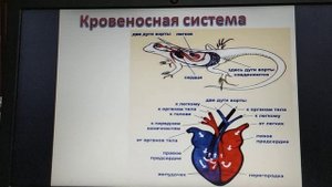 Биология 7 класс