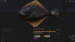 Fisher Online: Норвегия. Камбала желтоперая №2 (Мировой рекорд)
