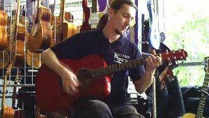 Обзор гитар Hohner