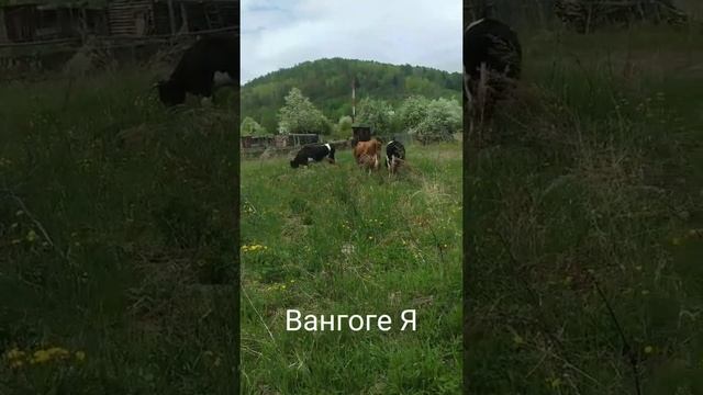 Стать миллионером..... за 2два дня.. лайфхак ?