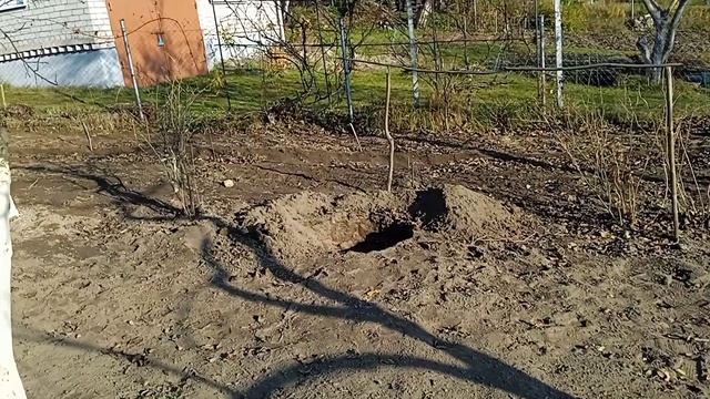 Новые работы по саду. Применяем сапропель. 31.10.2021 смотреть онлайн