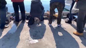 Рыбалка в Ялте на набережной имени Ильича