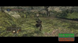 Dark souls 2: Начало