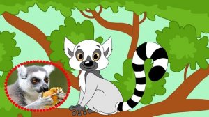 Животные Африки.