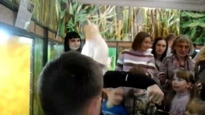Какаду разговаривает