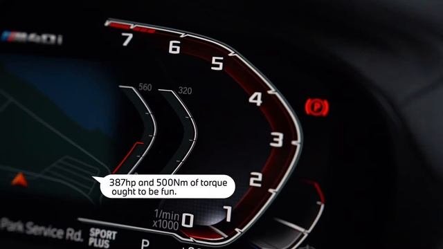 A Trip To The Dog Park In A BMW X4 M40i | TopGear Singapore