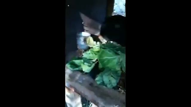 Моя ферма смотреть онлайн