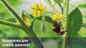 Говорят специалисты «Августа». МатринБио®