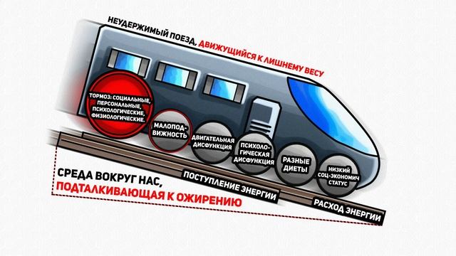 Что мешает похудеть, причины лишнего веса и причины ожирения, как похудеть, проблема ожирения смотреть онлайн