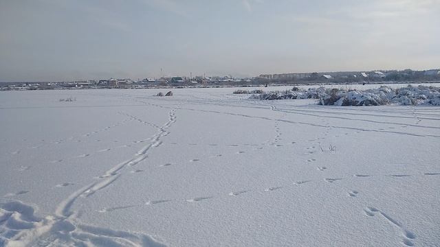 .ловля ротана. смотреть онлайн