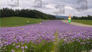 Александр Блок "Погружался я в море клевера..."