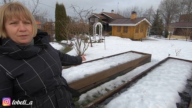 Весенние работы в саду и огороде: с чего начать весну, когда белить деревья, как защитить хвойные