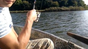 Рыбалка. Краснодарский край. Ловля толстолобика.