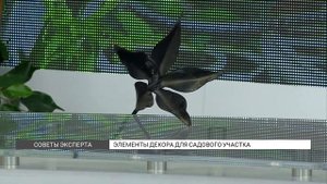 Декор садового участка