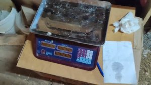 Бройлер Росс 308(забой и взвешивание) 44день