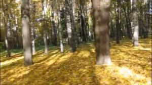 Я осень не люблю. Фёдор Добронравов.