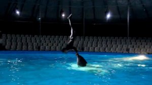 Дельфинарий Немо видео 4 года работы