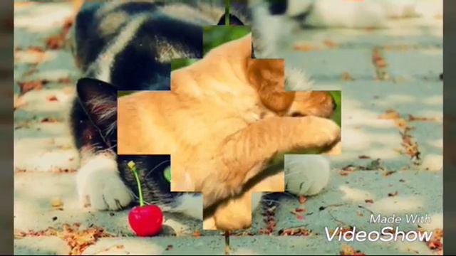 Знайте своих друзей и подумайте перед тем как усыплять смотреть онлайн