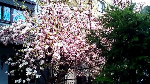 Окраина Вроцлава) Нам здесь нравится смотреть онлайн