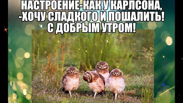 С Добрым Утром!💖Прикольное Пожелание с Добрым Утром и Хорошим Днем💖 Красивая музыкальная Открытка !