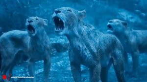 Лев против тигра: кто настоящий король? Facts in Russian | MP Education Russian