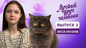 Подвиг кота Семена | Лучший друг человека, эксклюзив из 2 выпуска