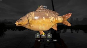 Russian Fishing 4 | ACTIVE CARP SPOT AT BEAR LAKE + TROPHY !