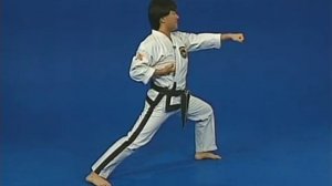 Таэквондо - Идеальные стойки и работа ног. Ч 4 уровень 1