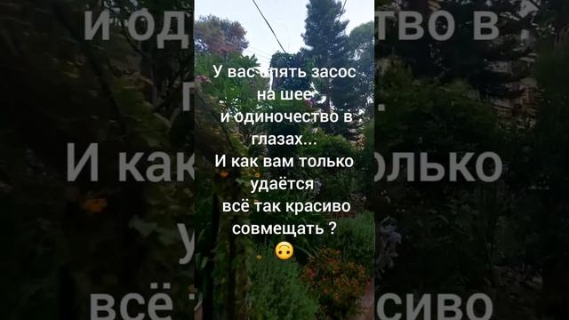 стишки пирожки