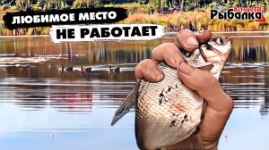 Поймал сколько смог на озере в Артёмовских лугах.Ловля подлещика и другой рыбы на поплавок.