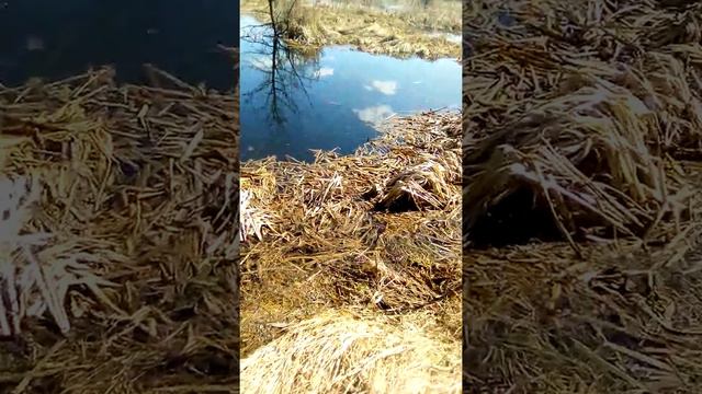 Откуда вода смотреть онлайн