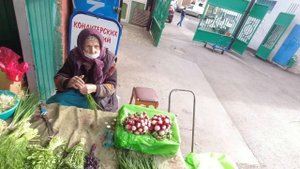 Ростов-на-Дону. Центральный рынок. Саженцы винограда. Зелень. Сухофрукты. Овощи. Фрукты. (2-я часть