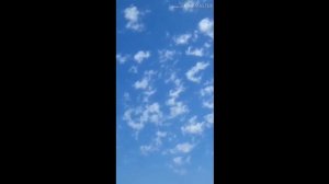 СТОЛБА ИГРАЮЩИЕ ВИНТОВЫЕ ГОЛУБИ || WORLD OF PIGEONS ||