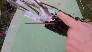 Виноградные саженцы из Крыма интернет магазин САДОВОД Почтой России быстро и просто.