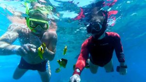 Reef Oasis Beach Resort, Шарм-эль-Шейх, снорклинг 2017