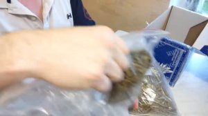 Хмель из Чувашии