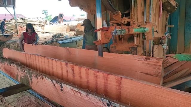 luar biasa,, proses pengolahan papan dari kayu Meranti batu merah смотреть онлайн
