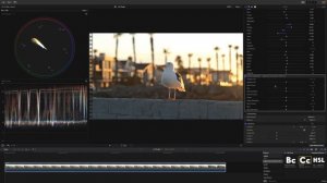 Lightroom Controls for Final Cut!