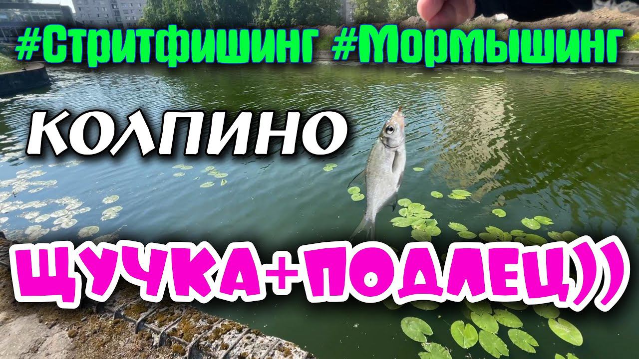 #47 Щука+Подлец | Проверил пруд | #стритфишинг  #мормышинг