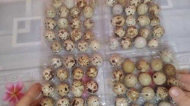 Укрепите здоровье! Уникальный продукт ???