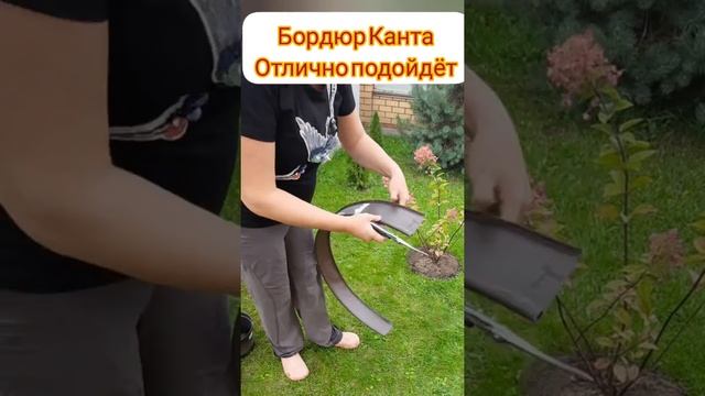 осенняя посадка гортензии смотреть онлайн