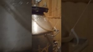 Энзимы в домашних условиях.￼