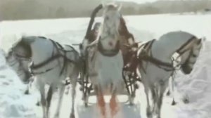 Метель метелица