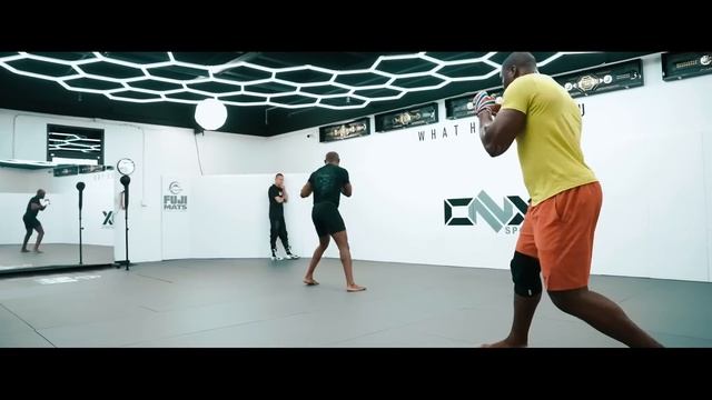 All Knockouts Of Francis Ngannou In MMA and UFC