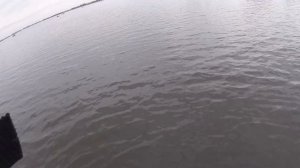 Мартовские холодные рыбалки-3 часть.Беспредел рыбоохраны!!.Астраханская рыбалка 2018 г