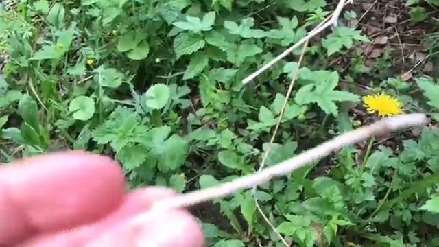 Окуривание травами