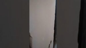 Сантехкабина обзор)))