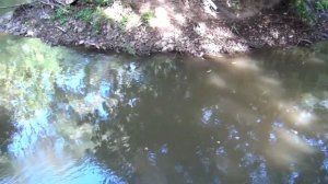 Москва. Река Яуза. Леоновская роща (13.09.2022)