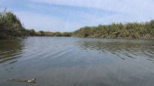 Рыбалка в низовьях Чу