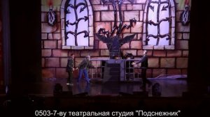 уч.номер 0503-7-ву Театральная студия «Подснежник»